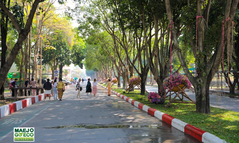 บรรยากาศสวยๆภายในมหาวิทยาลัยแม่โจ้