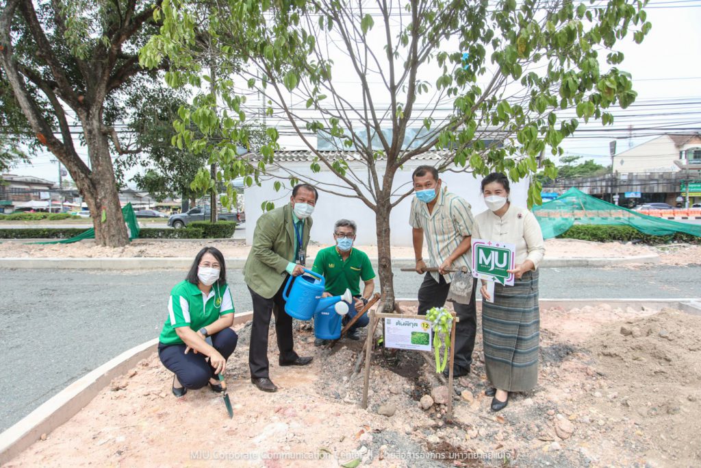 Maejo University administrators planting trees together on the World Environment Day to drive Green University