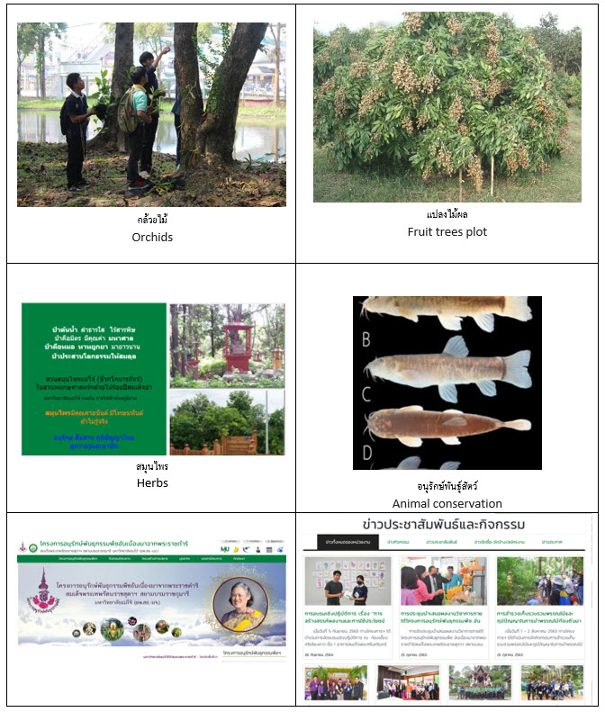 Conservation: plant, animal, and wildlife, genetic resources for food and  agriculture secured in either medium or long-term conservation facilities -  MAEJO UNIVERSITY GREEN UNIVERSITY & SUSTAINABLE UNIVERSITY