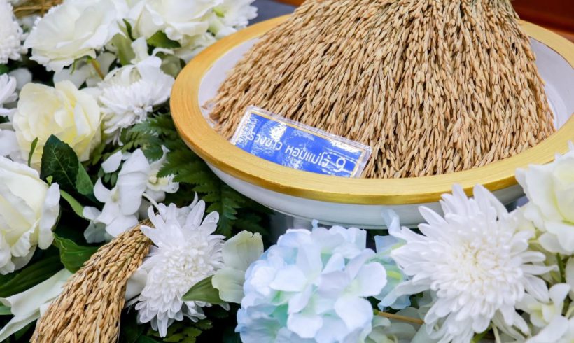 ม.แม่โจ้ และ สวก. ส่งมอบเมล็ดพันธุ์ข้าว “หอมแม่โจ้ 9” พันธุ์ข้าวใหม่ ให้สมาคมผู้รวบรวมและจำหน่ายเมล็ดพันธุ์ข้าว พร้อมเร่งขยายผลส่งต่อถึงมือเกษตร