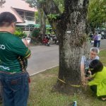 มหาวิทยาลัยแม่โจ้ ตรวจสุขภาพต้นไม้ พร้อมวางแผนดูแล และทำข้อมูลชดเชยคาร์บอน