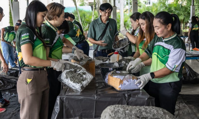 Maejo University trains to drive the NBTC towards becoming a Low Carbon Organization. Maejo University trains to drive the NBTC towards becoming a Low Carbon Organization.