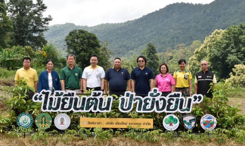 The Faculty of Architecture, Maejo University, in collaboration with Chulalongkorn University and Singha Volunteers, is driving a project to create a sustainable society and preserve the environment. The Faculty of Architecture, Maejo University, in collaboration with Chulalongkorn University and Singha Volunteers, is driving a project to create a sustainable society and preserve the environment.